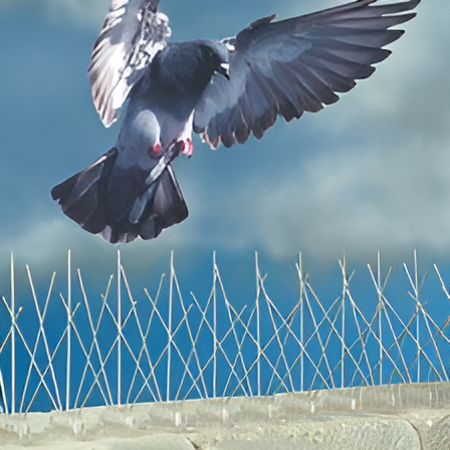 Bird Spikes supply coverage across India